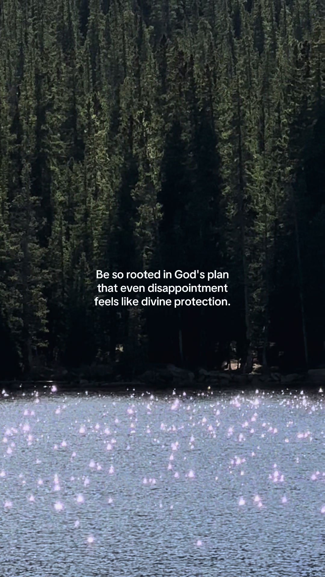 Be so rooted in God's plan
that even disappointment
feels li