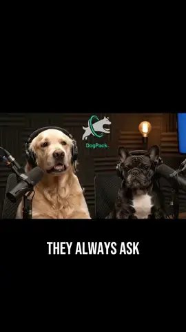 THEY ALWAYS ASK
THE OBVIOUS QUESTIONS LIKE
DO YOU WANT THE B