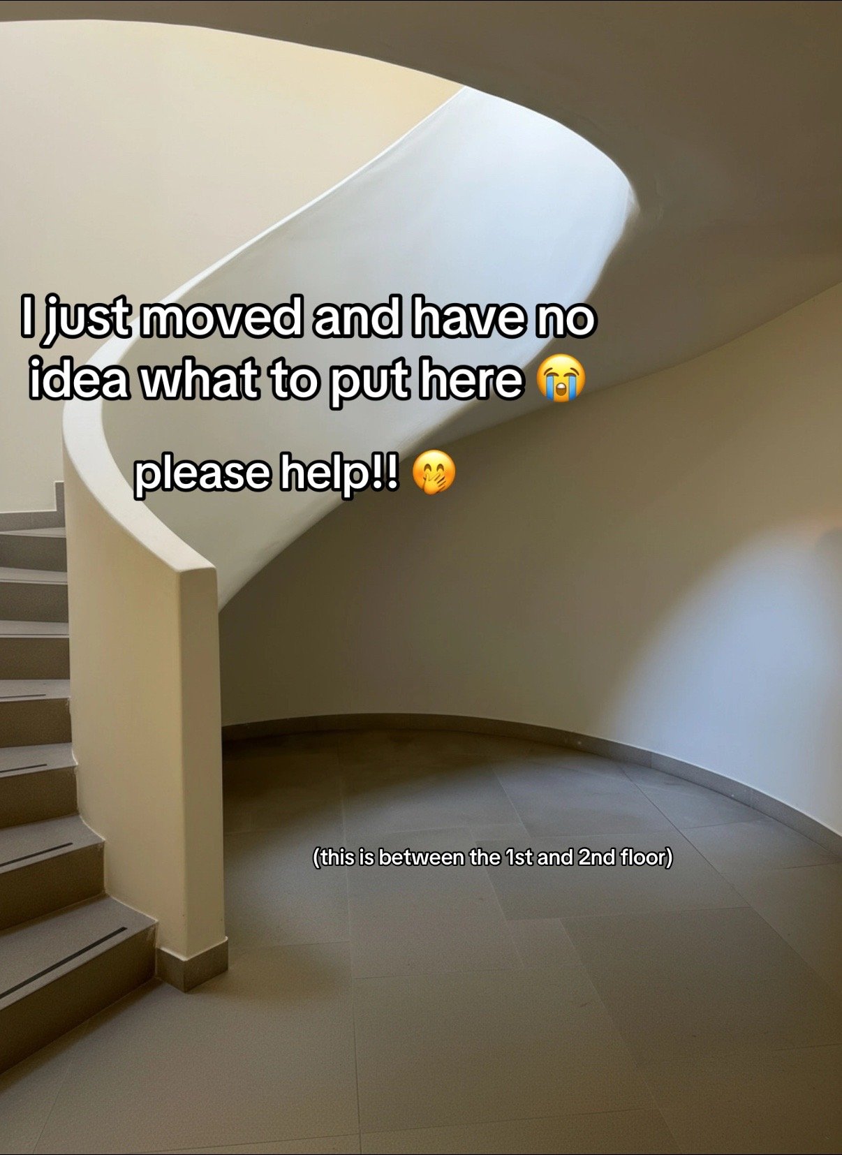 I just moved and have no
idea what to put here 😭
please hel